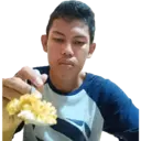 Petrik 26