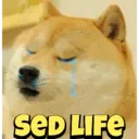 Cheems meme 6