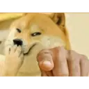 Cheems meme 11