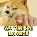 Cheems meme 16