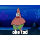 Petrik 8