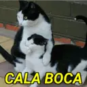 DRAMA 😔 8