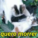 DRAMA 😔 9