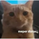 MEMESITOS PARA TI MOR😎👀 3