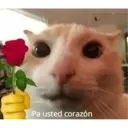 MEMESITOS PARA TI MOR😎👀 8
