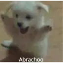 MEMESITOS PARA TI MOR😎👀 9