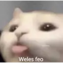 MEMESITOS PARA TI MOR😎👀 11