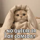 Michis Para Ti pt.11🐱❤️ 3
