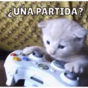 Michis Para Ti pt.11🐱❤️ 5