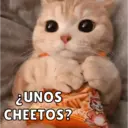 Michis Para Ti pt.11🐱❤️ 9