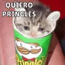 Michis Para Ti pt.11🐱❤️ 12