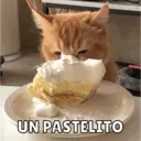 Michis Para Ti pt.11🐱❤️ 13