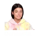 Amo a charli 2