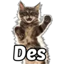 @Harley Stickers Des