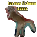 Não Rir 5