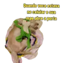 Não Rir 6