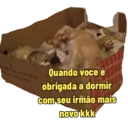 Não Rir 7
