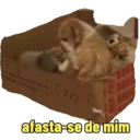 Não Rir 8