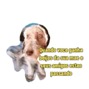 Não Rir 11