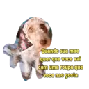 Não Rir 12