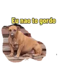 Não Rir 13