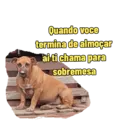 Não Rir 14