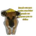 Não Rir 15