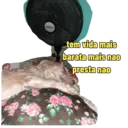 Não Rir 17