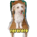Não Rir 19
