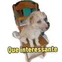 Não Rir 20