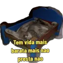 Não Rir 21