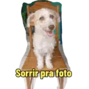 Não Rir 22