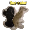 Não Rir 24