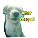 Não Rir 25