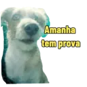 Não Rir 26