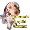 Não Rir 30