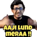CarryMinati 13