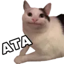 ATA