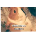 Pets 2