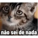 RESPOSTAS ENGRA&Ccedil;ADAS 5