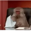 Dilo con changuitos ? 6