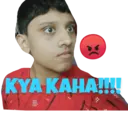 Shikhar Gaming Expert Stickers 4