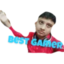 Shikhar Gaming Expert Stickers 5