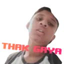 Shikhar Gaming Expert Stickers 7