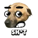 Funny Animals 1