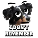 Funny Animals 4