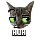 Funny Animals 9