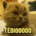 ? GATINHO MEMES 5