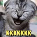 ? GATINHO MEMES 7