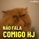 ? GATINHO MEMES 9